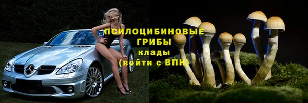 каннабис Каменногорск