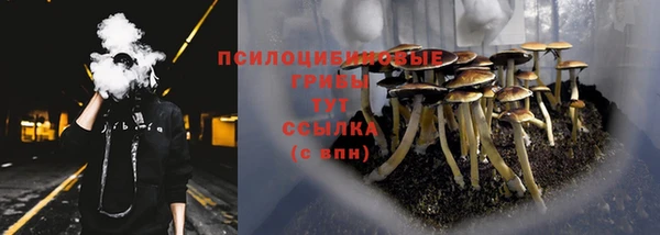 трава Каменск-Шахтинский