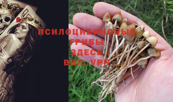 трава Каменск-Шахтинский