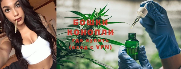 каннабис Каменногорск