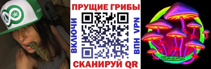 Купить закладки  Карабулак  Галлюциногенные грибы прущие грибы 